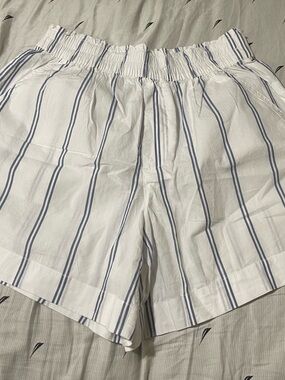 aerie White Shorts with Light Blue Pinstripes